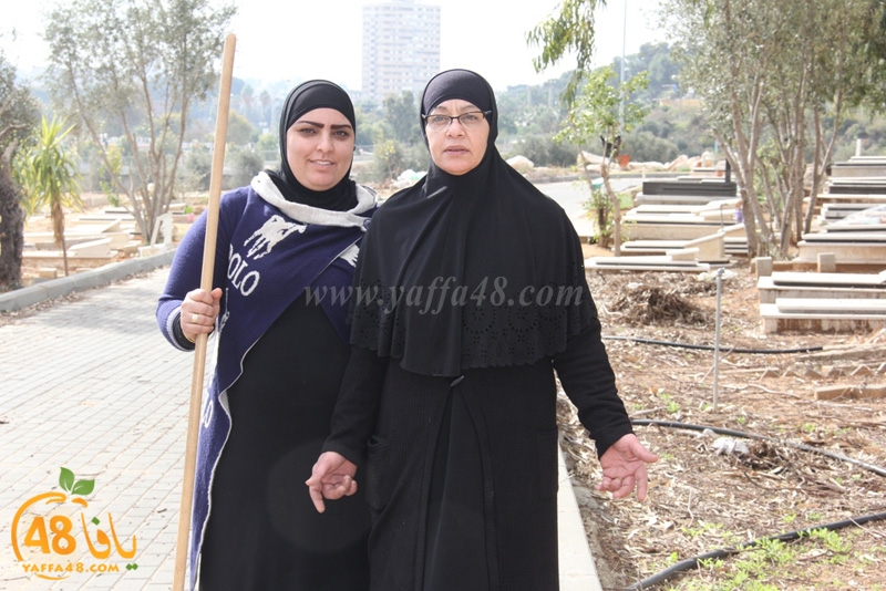 taso mashro3 tandaef (15).JPG